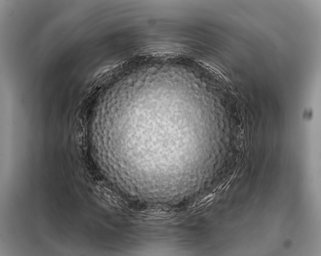 X0000098030917200804181225