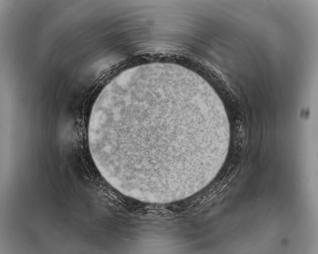 X0000098030918200804181225