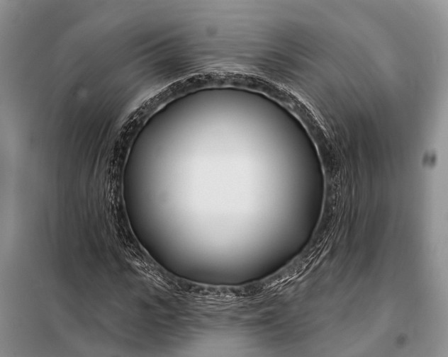 X0000098030919200804181225