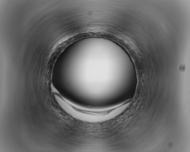 X0000098030920200804181225