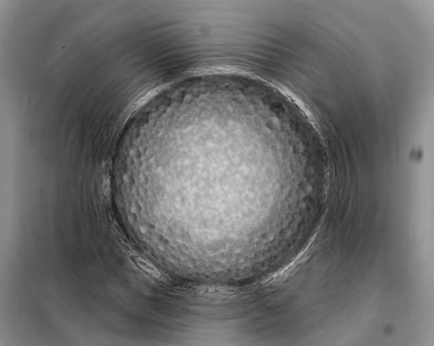 X0000098030921200804181225