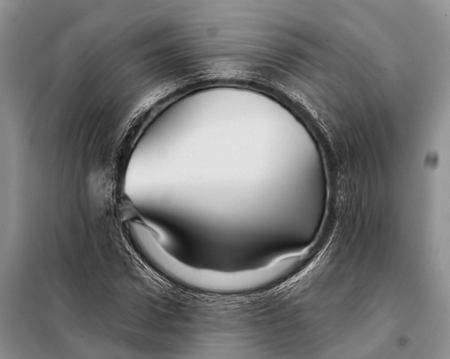 X0000098030922200804181225