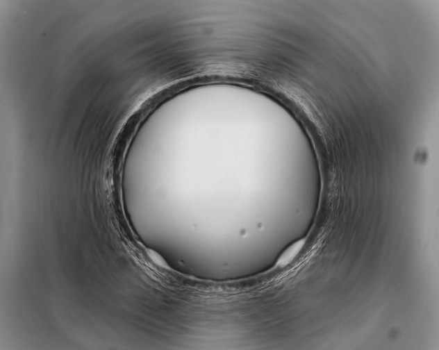 X0000098030923200804181225