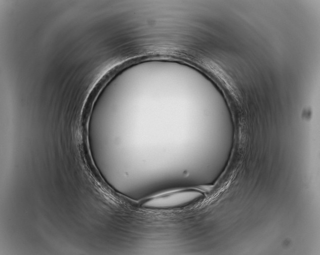 X0000098030924200804181225