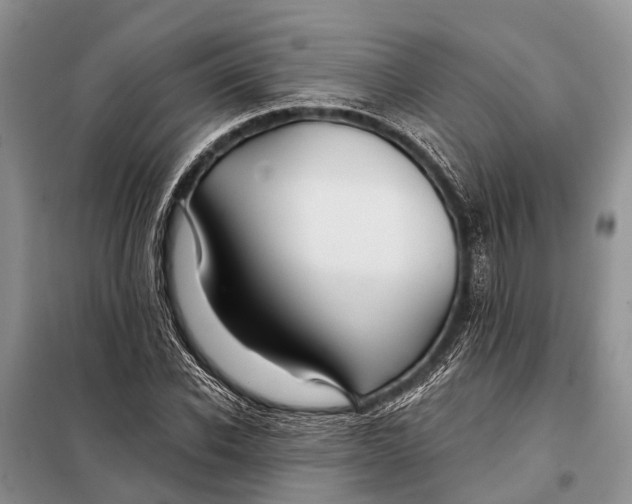 X0000098030926200804181225