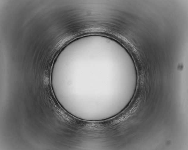 X0000098030929200804181226