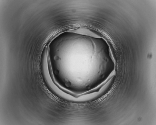 X0000098030930200804181226