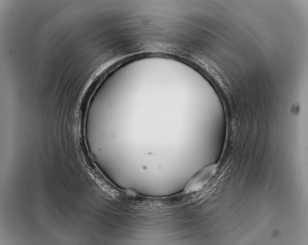 X0000098030931200804181226