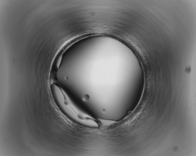 X0000098030932200804181226