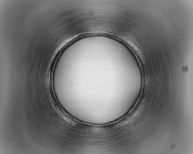 X0000098030933200804181226