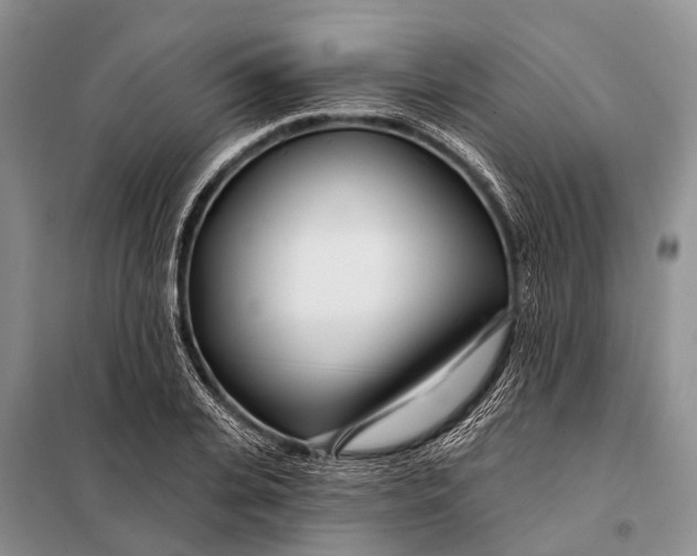 X0000098030935200804181226