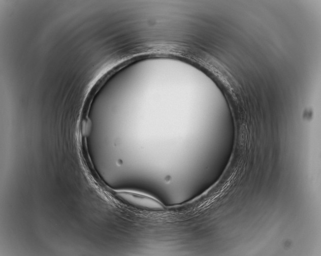 X0000098030936200804181226