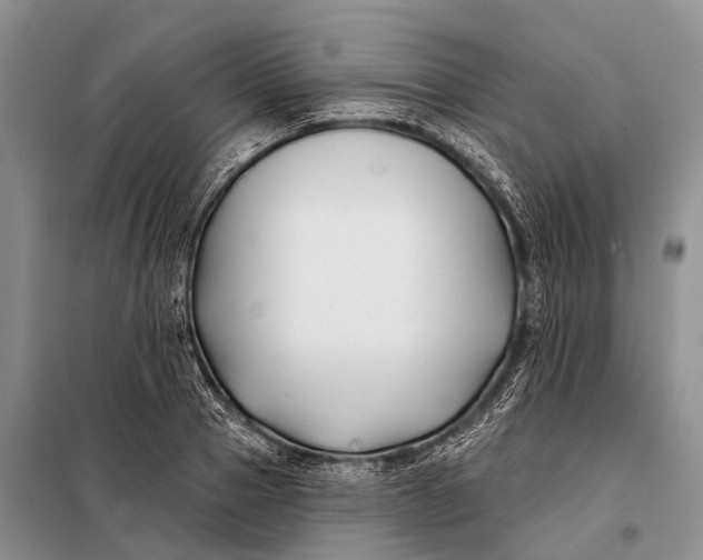 X0000098030937200804181226