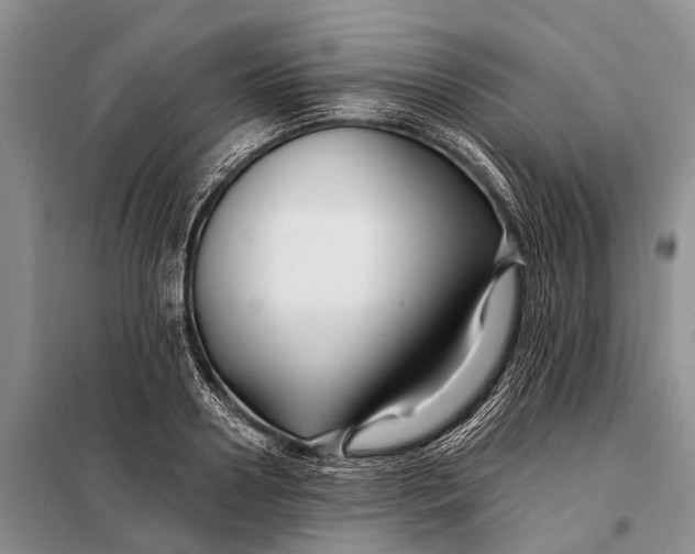 X0000098030938200804181226