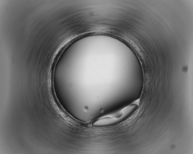 X0000098030939200804181226