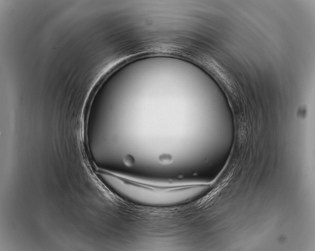 X0000098030940200804181226