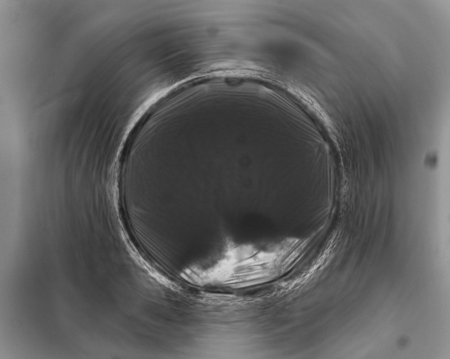 X0000098030941200804181226