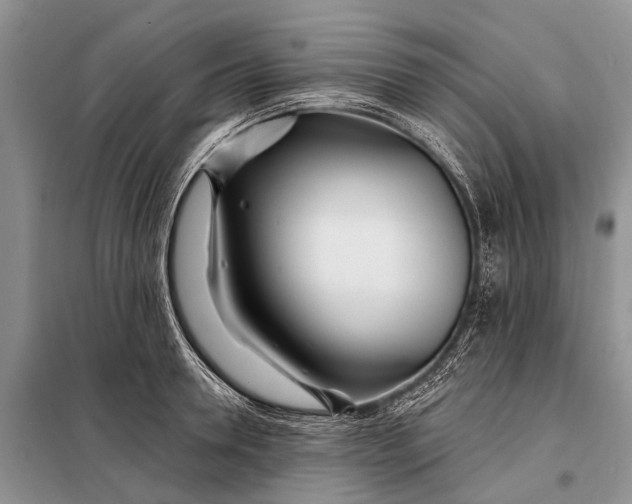 X0000098030946200804181226