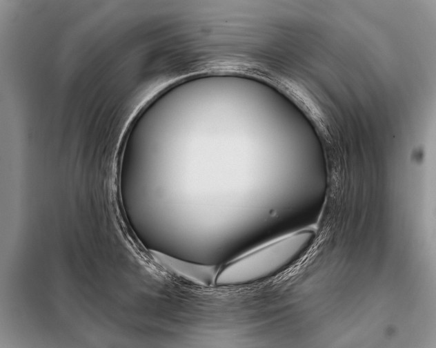 X0000098030948200804181226