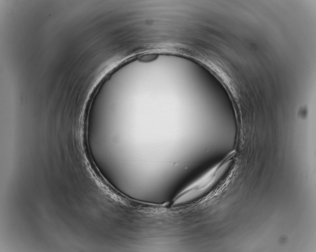 X0000098030949200804181226