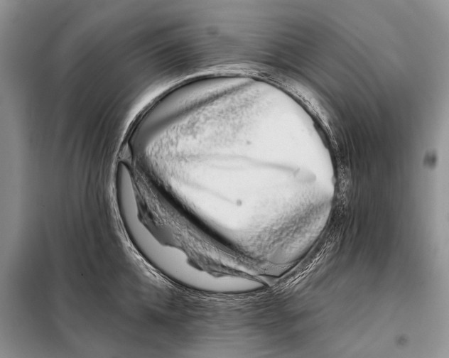 X0000098030952200804181226