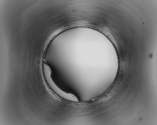 X0000098030954200804181226