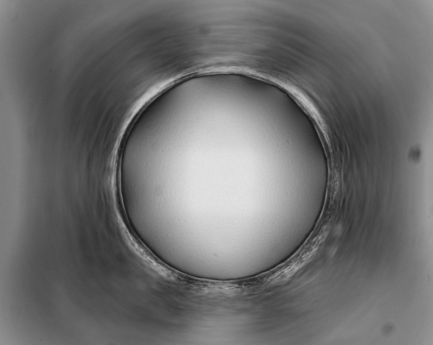 X0000098030957200804181226