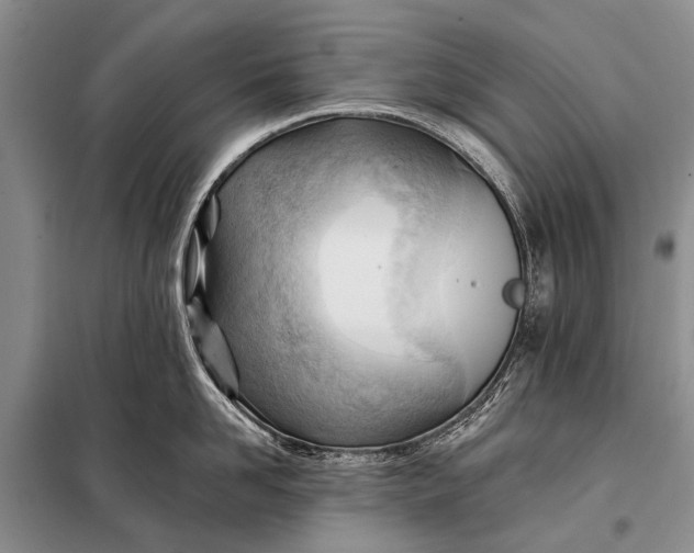 X0000098030958200804181226