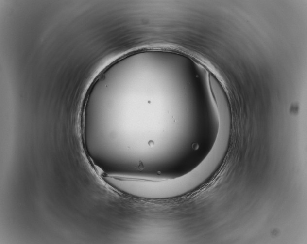 X0000098030959200804181226