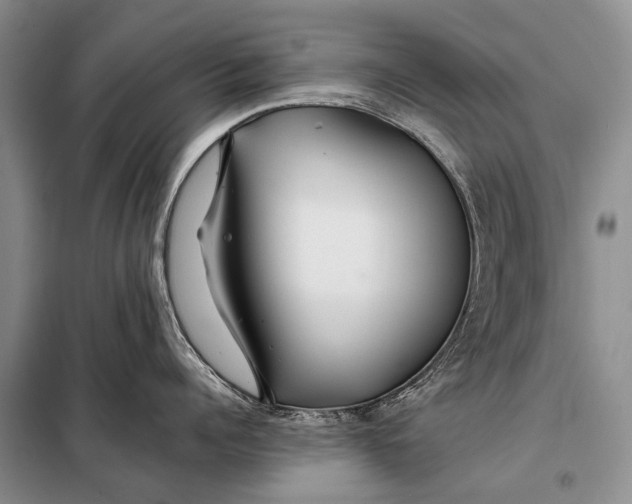 X0000098030960200804181226