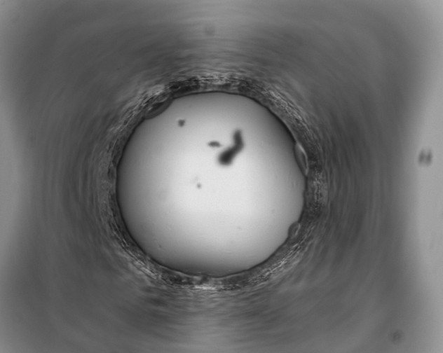 X0000098030961200804181225