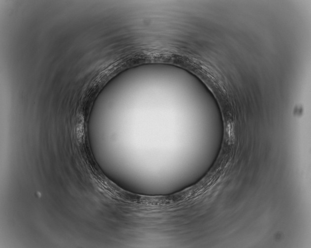 X0000098030963200804181225