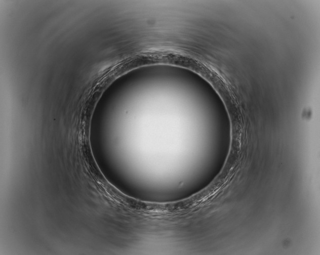 X0000098030965200804181225