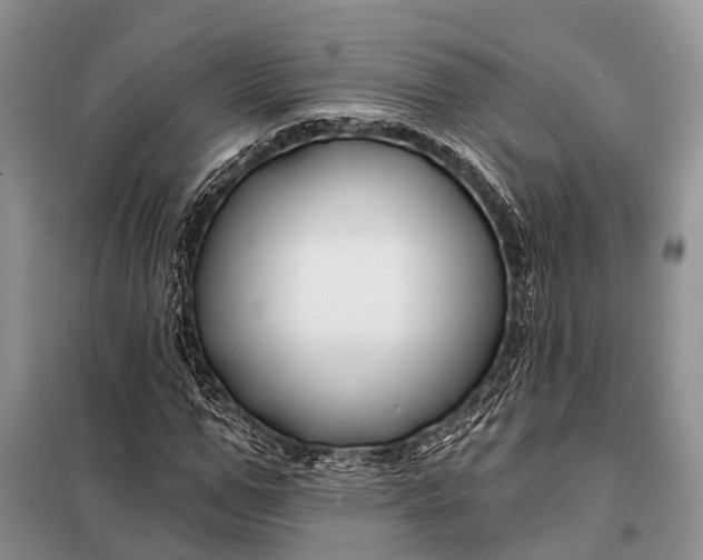 X0000098030967200804181225