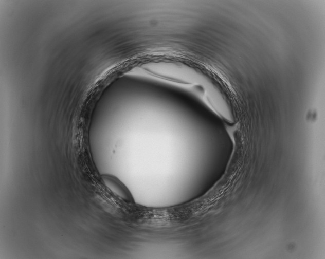 X0000098030968200804181225