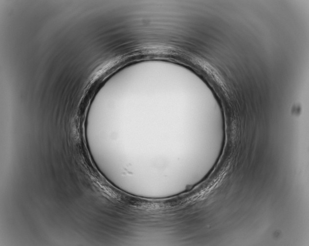 X0000098030970200804181225