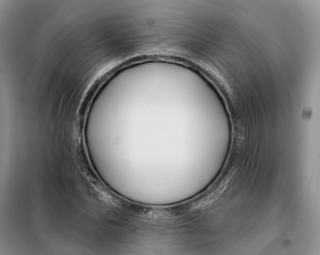 X0000098030974200804181225