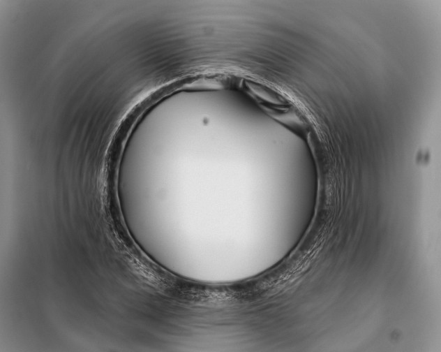 X0000098030975200804181225