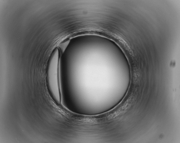 X0000098030977200804181225