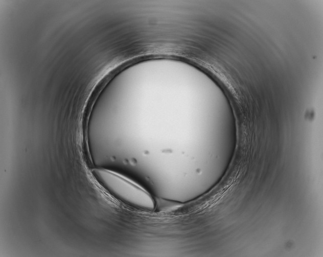 X0000098030980200804181225