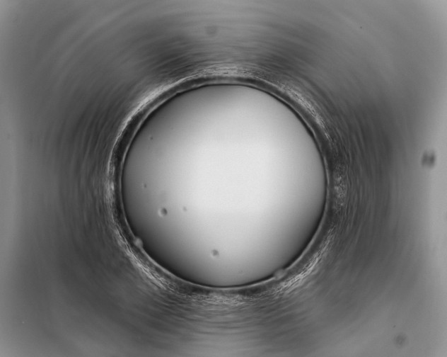 X0000098030981200804181225