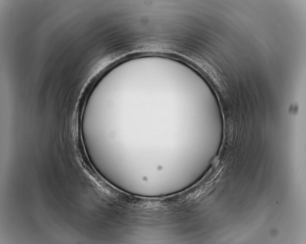 X0000098030982200804181225