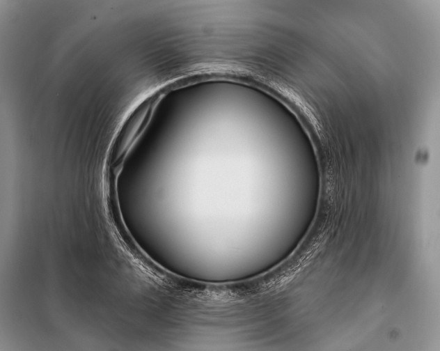 X0000098030983200804181225