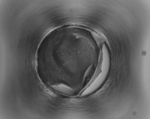 X0000098030984200804181225