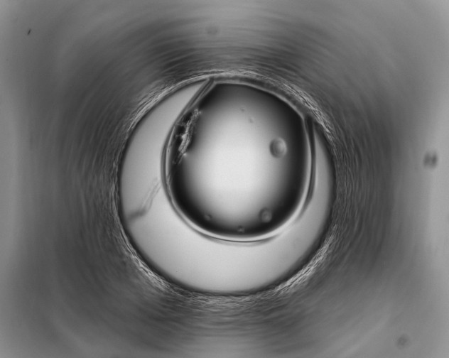 X0000098030985200804181225