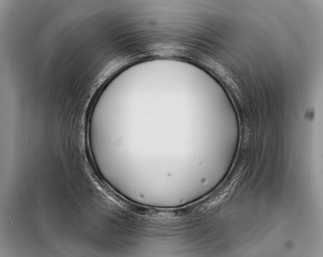 X0000098030986200804181225