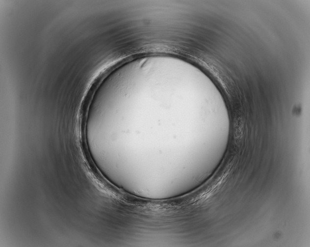 X0000098030987200804181225