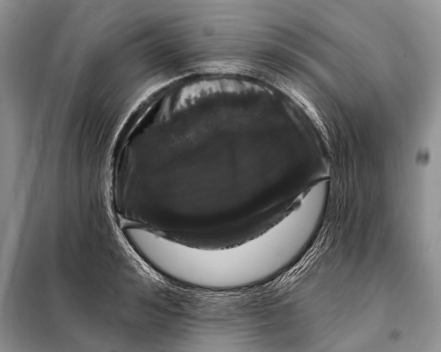 X0000098030992200804181225