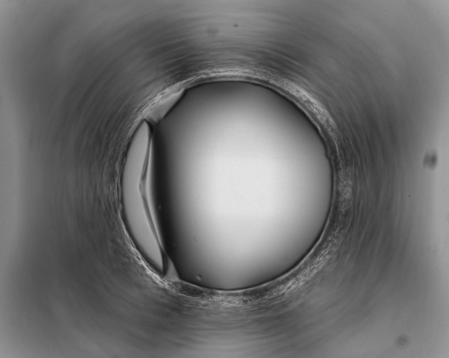 X0000098030993200804181225