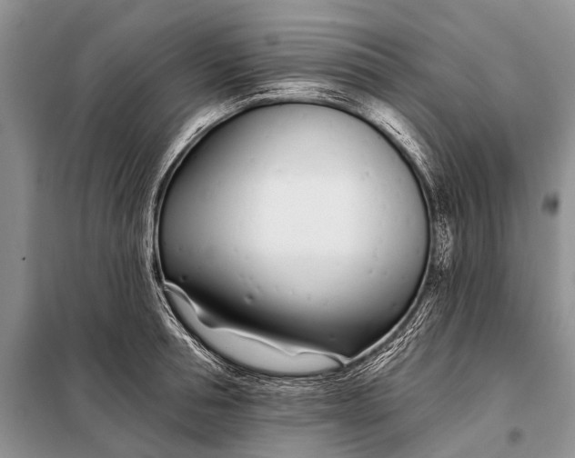 X0000098030994200804181225